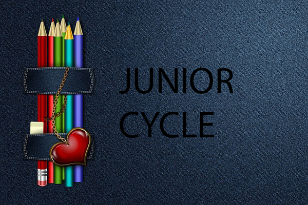 Junior Cert Results NPCPP